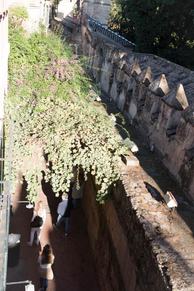 Apartamento Casa Callejon Del Agua Sevilla Kültér fotó
