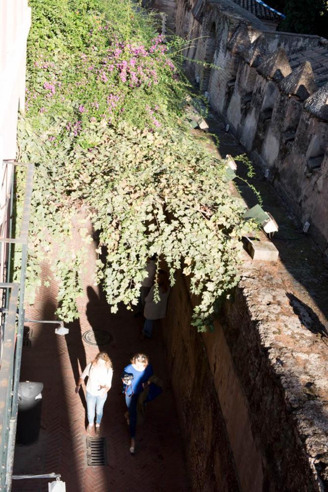 Apartamento Casa Callejon Del Agua Sevilla Kültér fotó